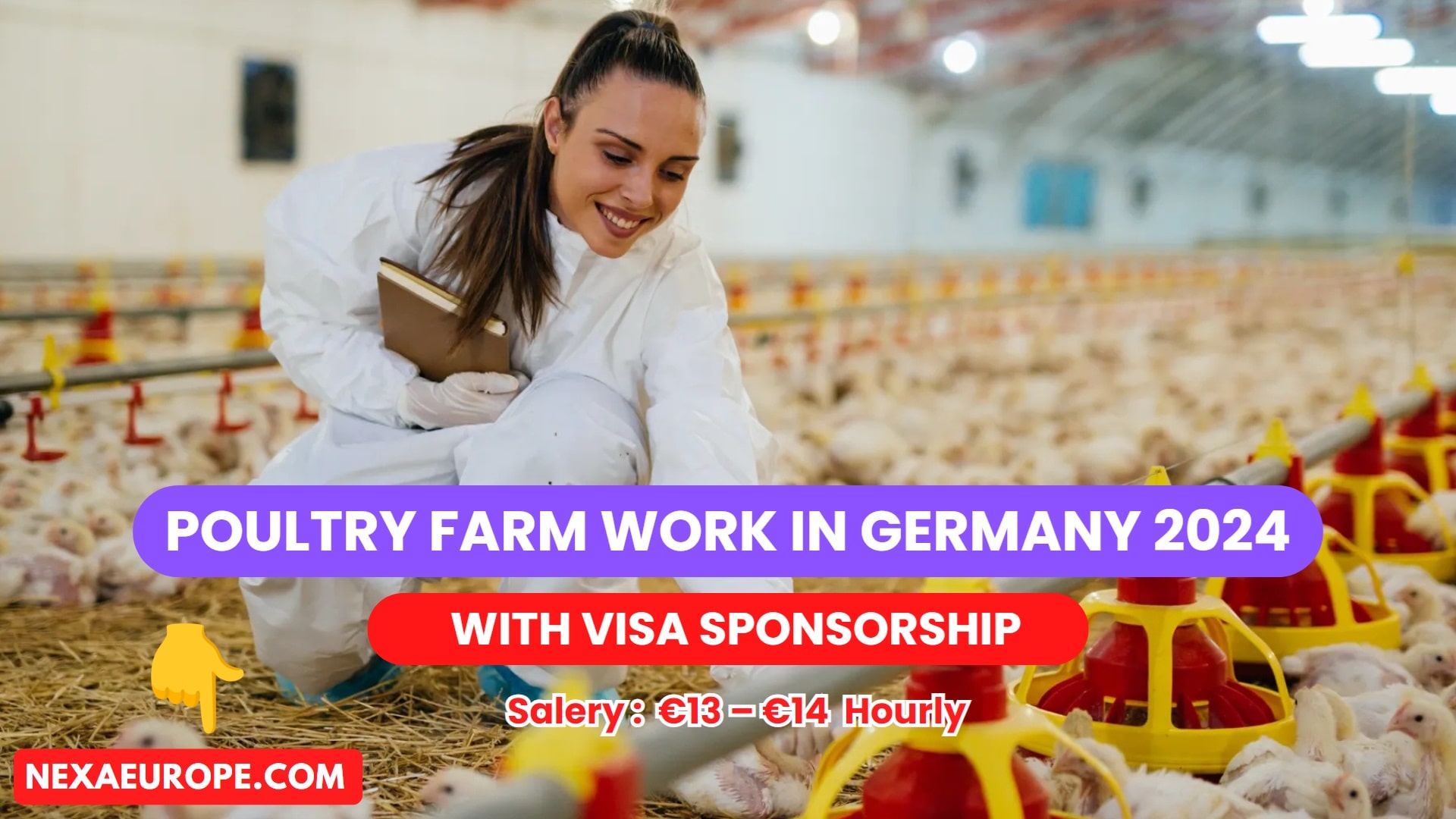 Poultry Farm Work in Germany