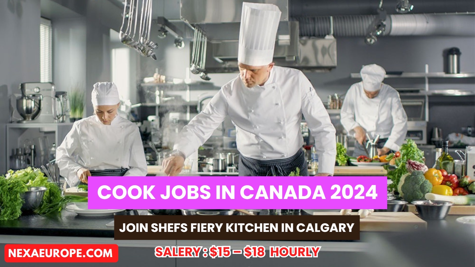 Cook Jobs