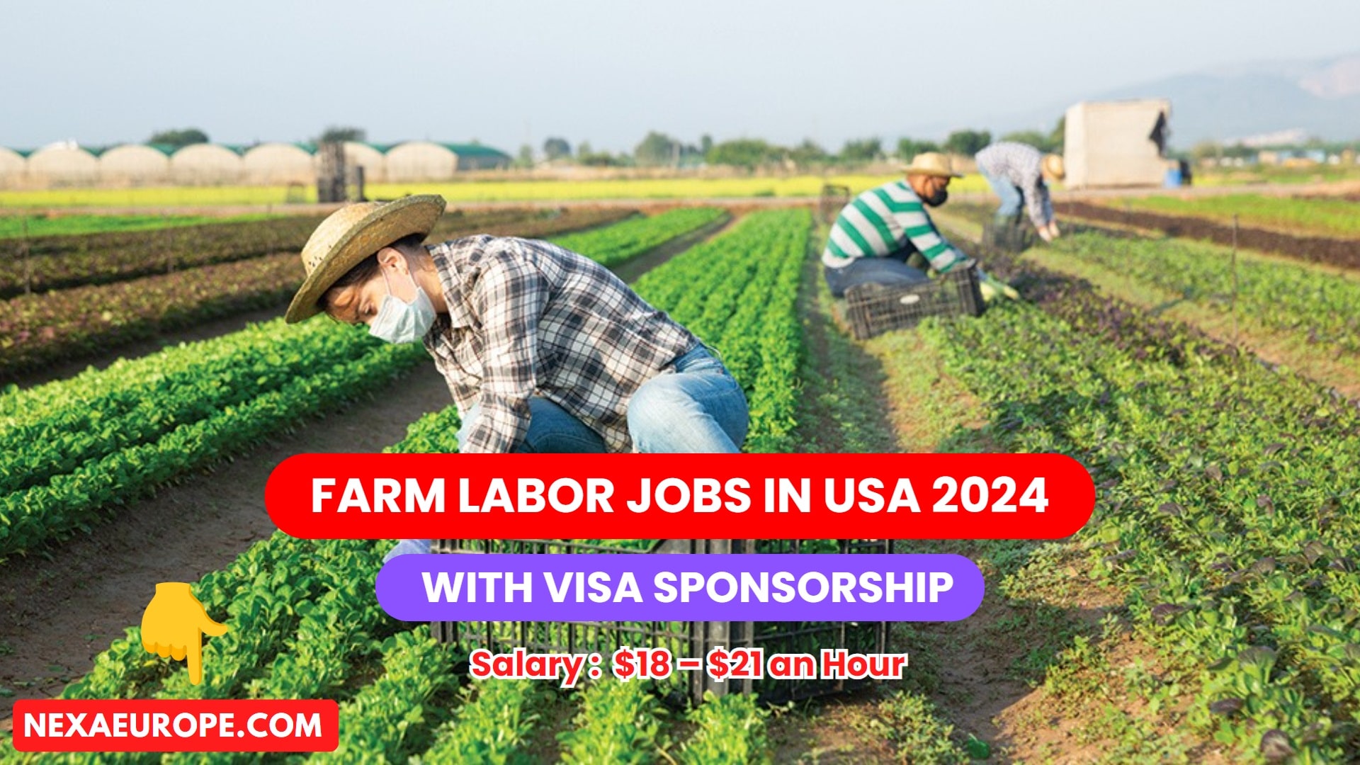 Farm Labor Jobs in USA