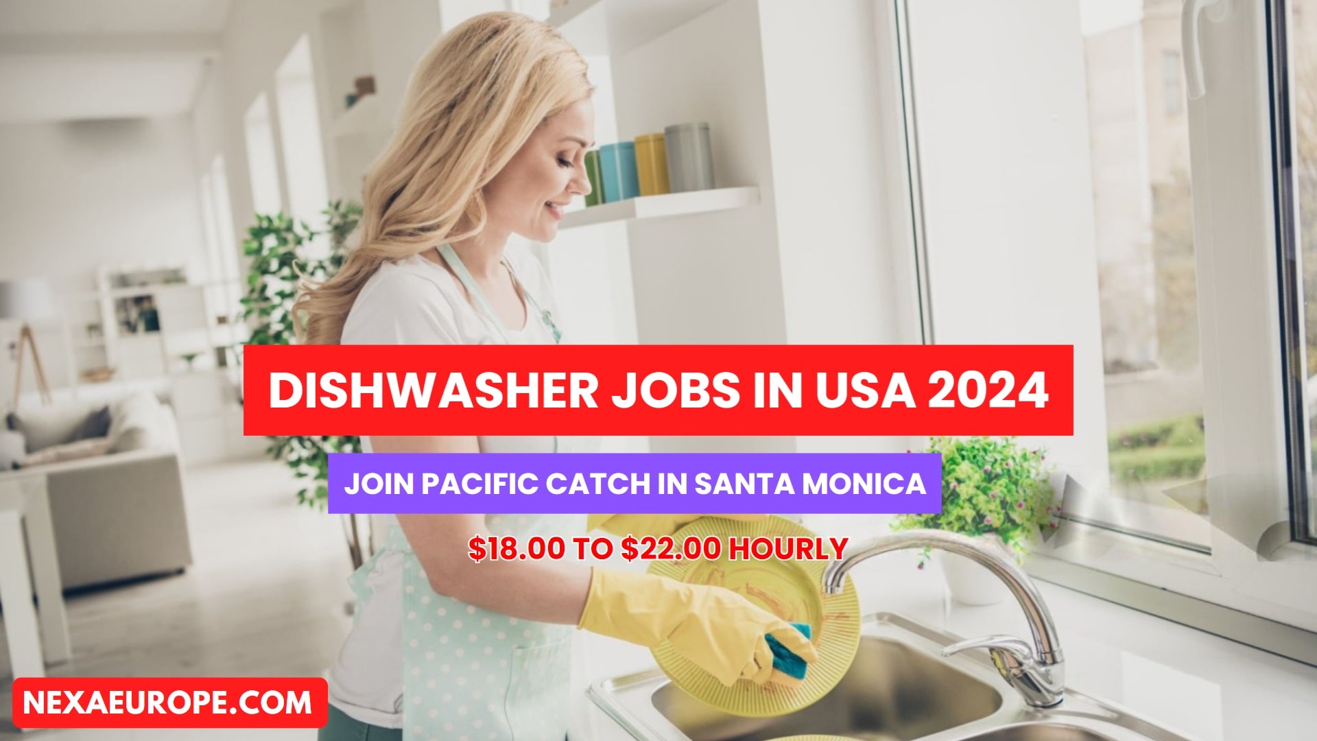 Dishwasher Jobs