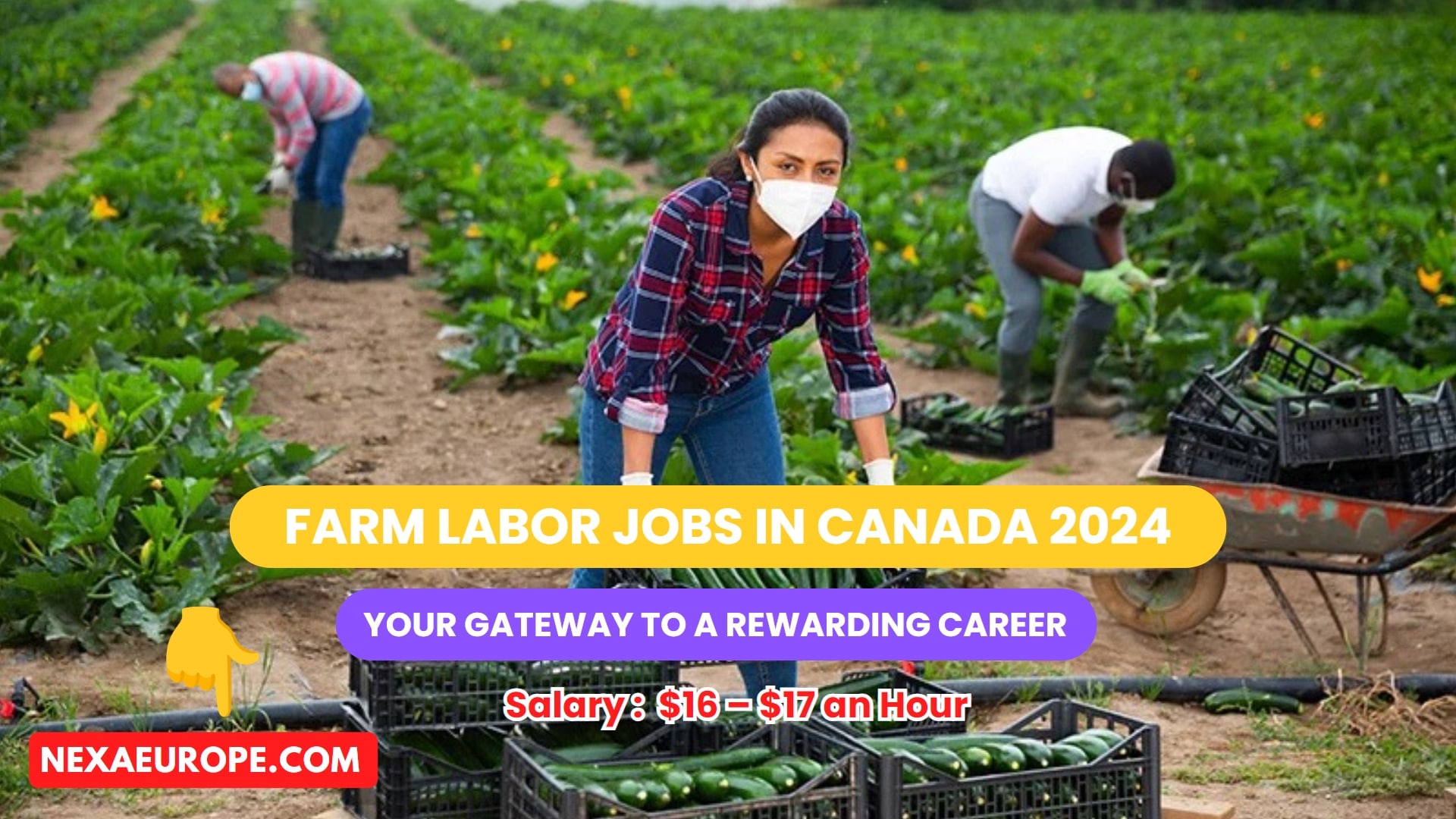 Farm Labor Jobs in Canada