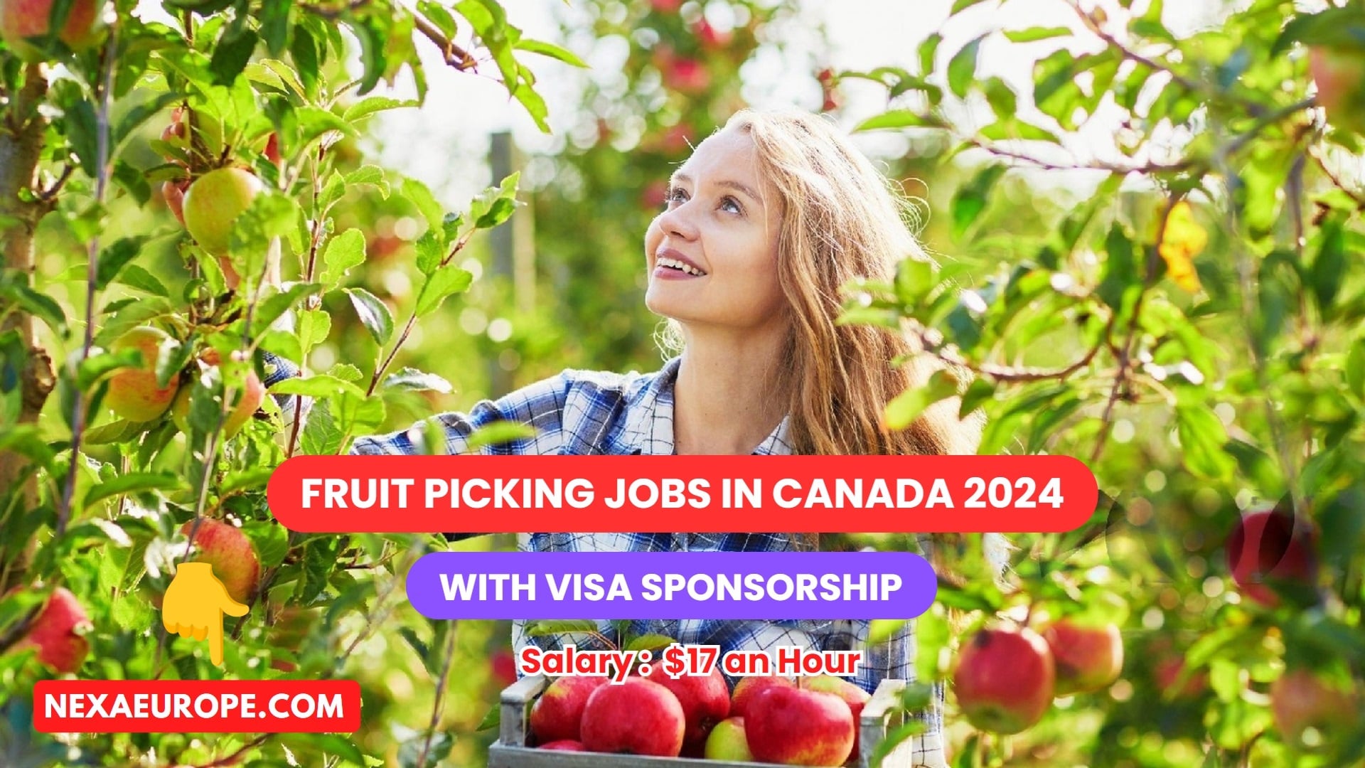 Fruit Picking Jobs in Canada