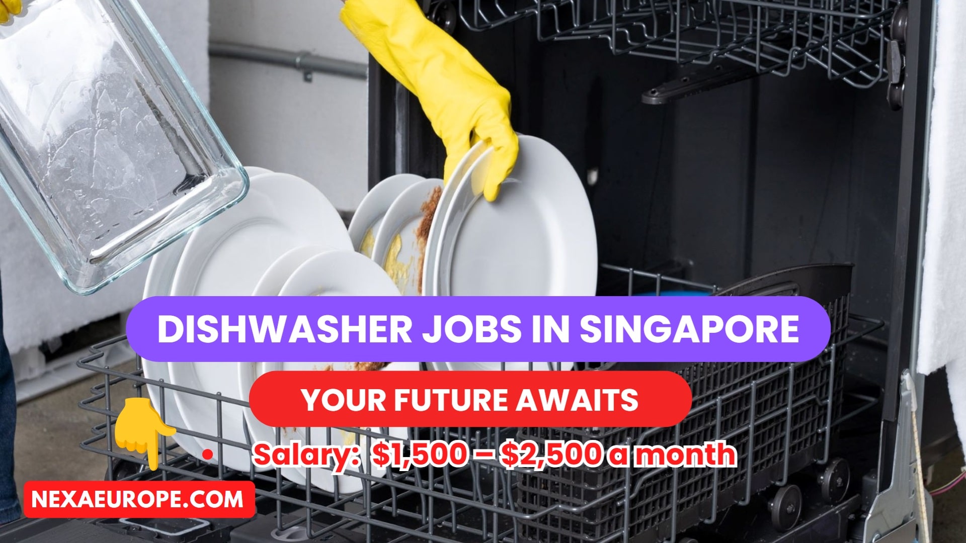 Dishwasher Jobs in Singapore